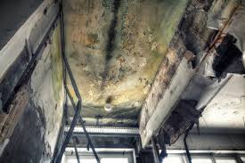 Mold Documentation for Insurance Claims in Greenfield, WI